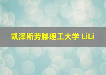 凯泽斯劳滕理工大学 LiLi